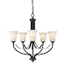 Murray Feiss F2252/5ORB Barrington Five-Light Chandelier, Brushed Steel with Opal Etched Glass Shades