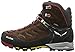 Salewa Men's MS MTN Trainer Mid GTX Hiking Shoe