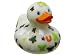Present Time Bud Butterfly Duck, Medium
