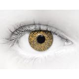 Eyecasions One Tone Hazel Contact lenses