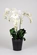 Artificial 30" Triple Stem Phalaenopsis Orchid