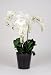 Artificial 30" Triple Stem Phalaenopsis Orchid