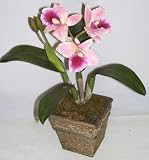 Review Silk Plants Plus.com 712811 / 16