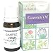 【バジル　10ｍｌ】→清々しさと甘さを併せ持つ香り♪（リフレッシュハーブ系）[PRANAROM（プラナロム）精油/アロマオイル/エッセンシャルオイル]P-128