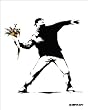Malitov Flower Urban Graffiti Art Poster Print 16x20