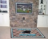 CAROLINA PANTHERS 4X6 AREA RUG