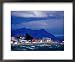 Shore of Seno Ultima Esperanza (Last Hope Sound), Patagonia, Puerto Natales, Chile Lonely Planet Collection Framed Art Poster Print by Richard I'Anson, 22x18