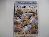 Seabirds