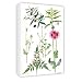 Opium Poppy and other plants (w/c) by.. - Canvas - Medium - 30x45cm