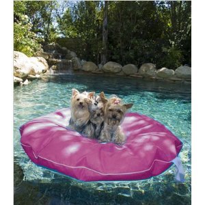 Pet Pool and Deck Lounger Rasberry (MD 39