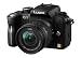 Panasonic Lumix G1 Digital System Camera Kit - Black (12.1MP)