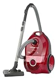 Rowenta - RO432311 - Aspirateur Compact avec sac - X-Trem Power Parquet