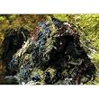 Camo Kit For Ultra Light Ghillie