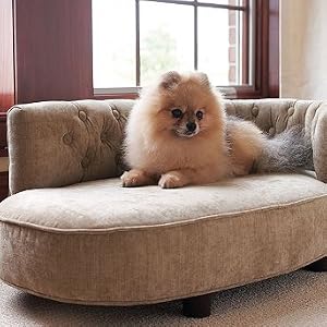 Mitchell Gold and Bob Williams Paige Pet Chaise - Mushroom - Frontgate Dog Bed