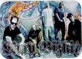 Limp Bizkit - Group Shot on Graffiti Wall - Rectangle Sticker / Decal