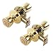 Lion Locks LIO0108 Tulip Keyed Entry Door Knob, Polished Brass, 2-Pack