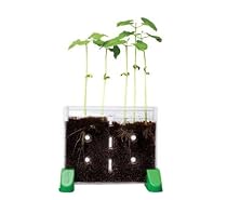 Sprout & Grow Wonder Soil, 50 pk