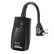 Intermatic HA04C Home Settings Wireless Heavy-Duty Outdoor Lighting Module
