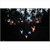 IMAGE OF Mr. Light 44251 Solar Hummingbird