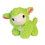 GREEN - Baa Baa Berbers Dog Squeaky Toy