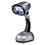 Emerson 20 LED Lantern