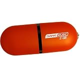 Dane-Elec 2GB USB External Hard Drive - Copper