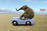 Life's a Beach (Elephant Driving Car) Art Poster Print - 24
