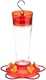 More Birds Ruby Glass Hummingbird Feeder with Five Feeding Stations, 10 Fluid Ounce Capacity