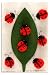Martha Stewart Crafts Ladybug Pom Pom Stickers By The Package