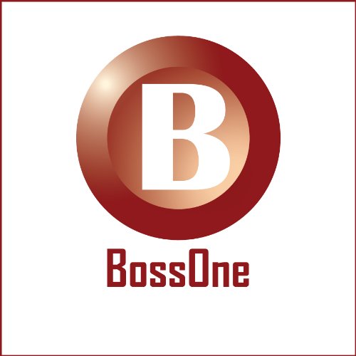 automotive software