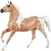 Pinto - Palomino