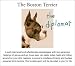 boston terrier - The Boston Terrier Friendship Greeting Card (Set of 6)