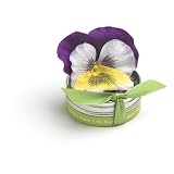 Bloembox Tiny Tins Classic: Viola in Gift Tin