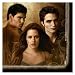 The Twilight Saga: New Moon Beverage Napkins 16 Pack