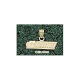 Central Michigan Univ Chippewas Charm/Pendant -14K/10K, Stainless Steel or Gold Plated