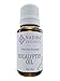 Eucalyptus Essential Oil - 100% Pure, Steam Distilled - 1 oz
