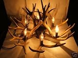 Antler Chandelier