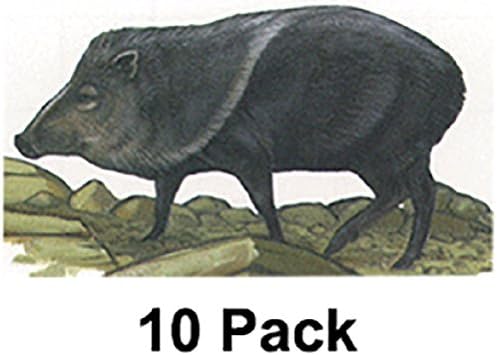 Maple Leaf NFAA Animal Faces Group 3 Javelina