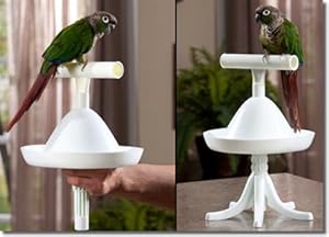 The Percher Portable Training Bird Perch