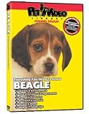 Beagle DVD - Everything You Should Know About Your Dog