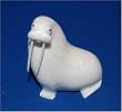 IVORY WALRUS by JULIUS ALOWA
