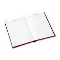 At-A-Glance Standard Diary 5 3/4 x 8 1/4 Inch Red Recycled Daily Reminder for 2009(SD38913)