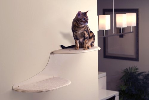 The Refined Feline Cat Cloud Cat Shelves