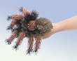 Folkmanis Small Tarantula Puppet