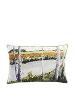 COINCASA Cojín 40 x 60 cm (Multicolor)