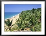 Beach and Coconut Palms, Kovalam Beach, Kerala State, India Framed Art Poster Print by Gavin Hellier, 39x31