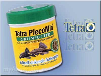 Childrens Toyshop  Heimwerken : Tetra 500526 PlecoMin Futtertabletten 200 Stück - Tablettenfutter tropische Zierfische