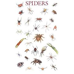 Spiders Poster (Posters)