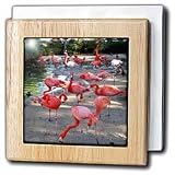 Birds - Flamingos - Tile Napkin Holders
