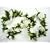 Artificial Silk Wedding Flower Cream Rose Ivy Berries Garland from GT Decorations